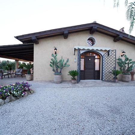Casa Degli Ulivi Bed & Breakfast Cerveteri Luaran gambar