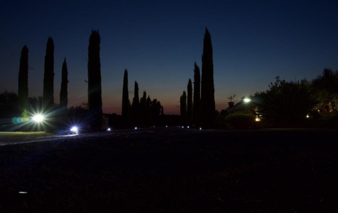 Casa Degli Ulivi Bed & Breakfast Cerveteri Luaran gambar