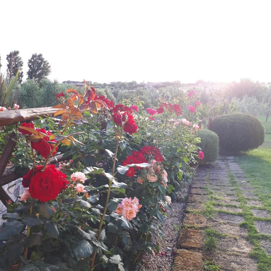 Casa Degli Ulivi Bed & Breakfast Cerveteri Luaran gambar
