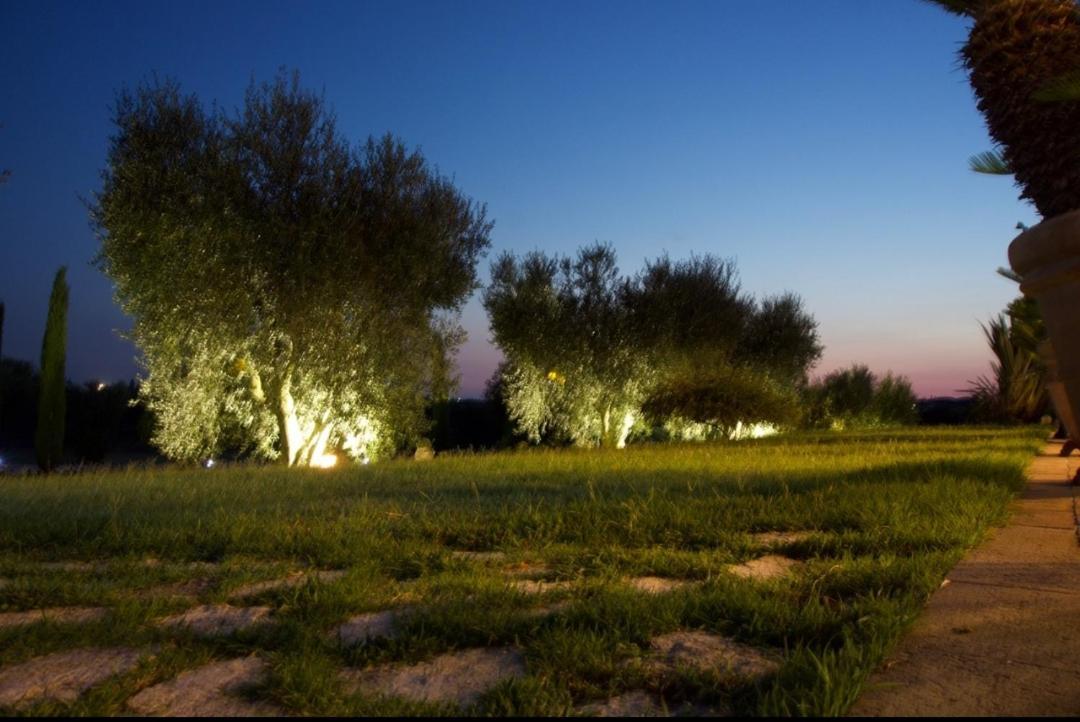 Casa Degli Ulivi Bed & Breakfast Cerveteri Luaran gambar