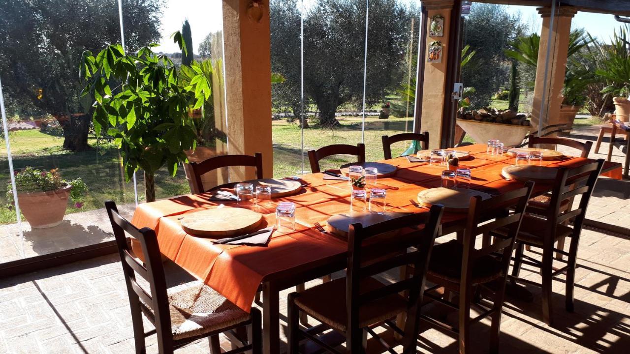 Casa Degli Ulivi Bed & Breakfast Cerveteri Luaran gambar