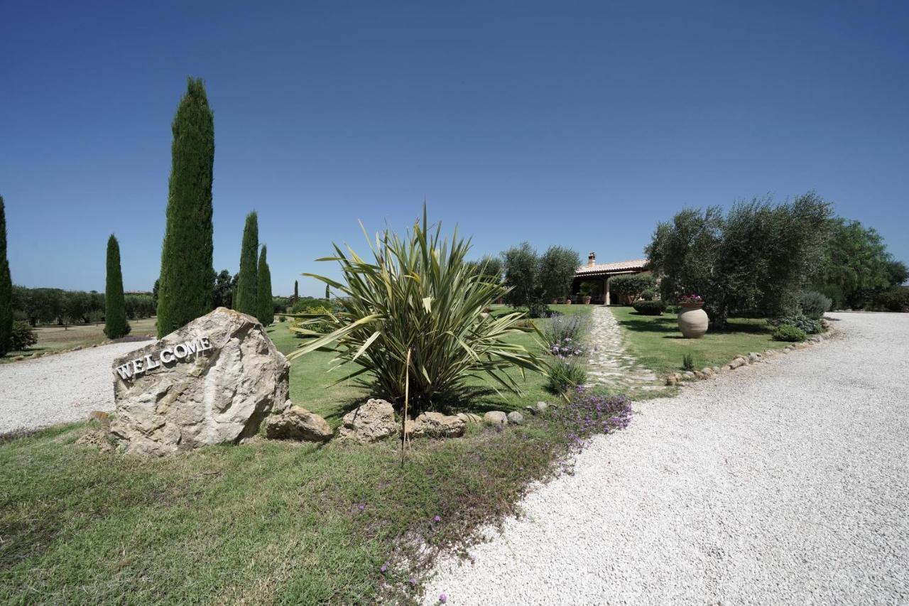 Casa Degli Ulivi Bed & Breakfast Cerveteri Luaran gambar