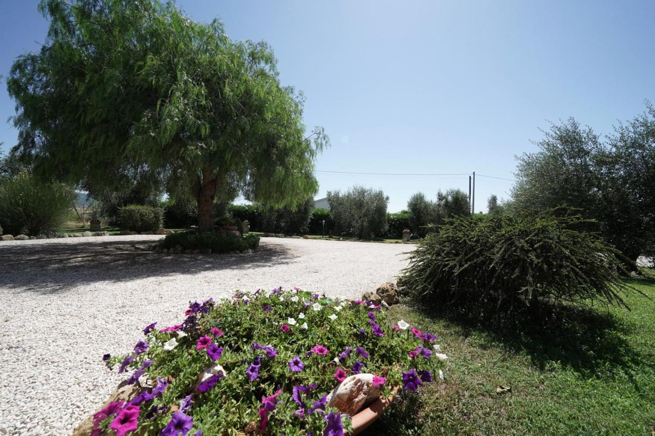 Casa Degli Ulivi Bed & Breakfast Cerveteri Luaran gambar