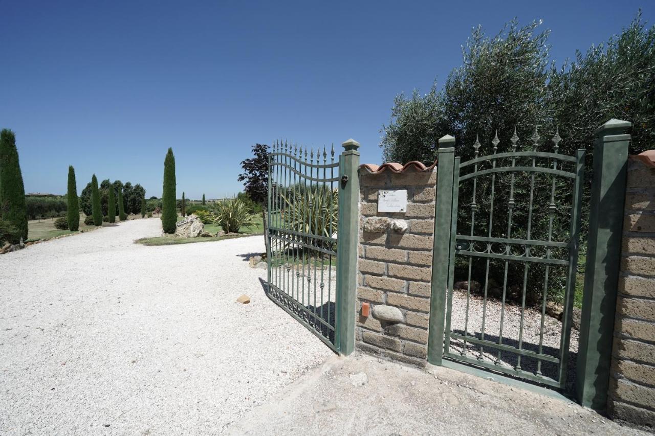 Casa Degli Ulivi Bed & Breakfast Cerveteri Luaran gambar