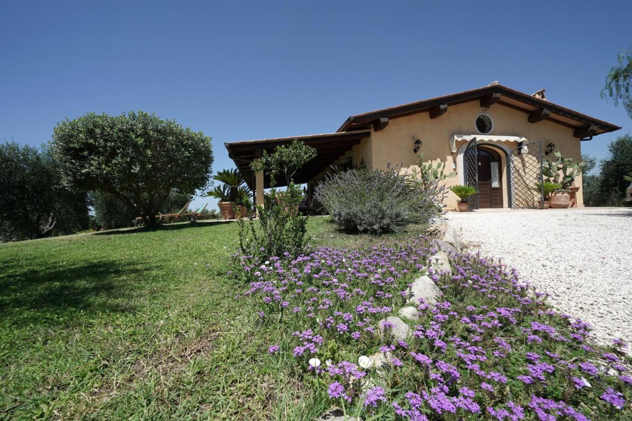Casa Degli Ulivi Bed & Breakfast Cerveteri Luaran gambar