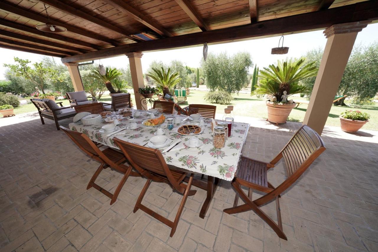 Casa Degli Ulivi Bed & Breakfast Cerveteri Luaran gambar
