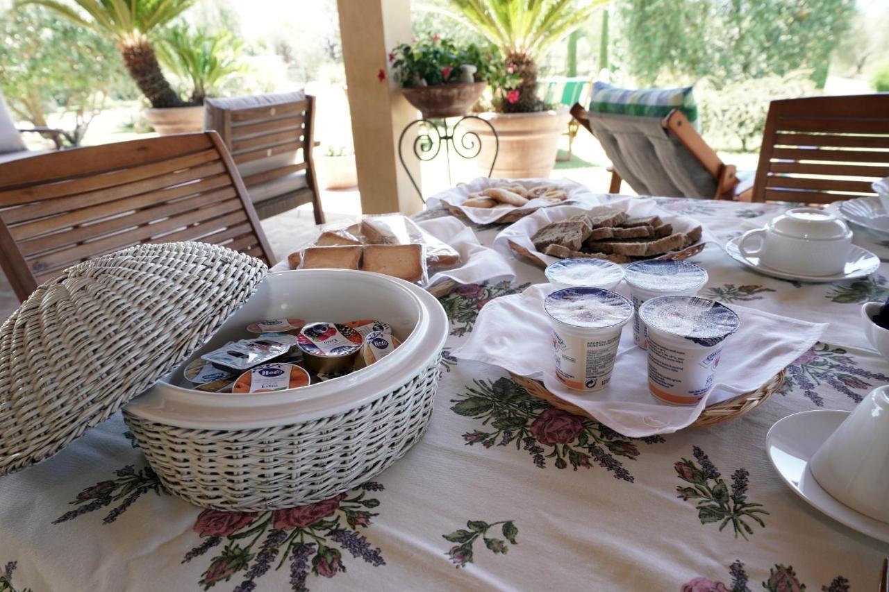 Casa Degli Ulivi Bed & Breakfast Cerveteri Luaran gambar
