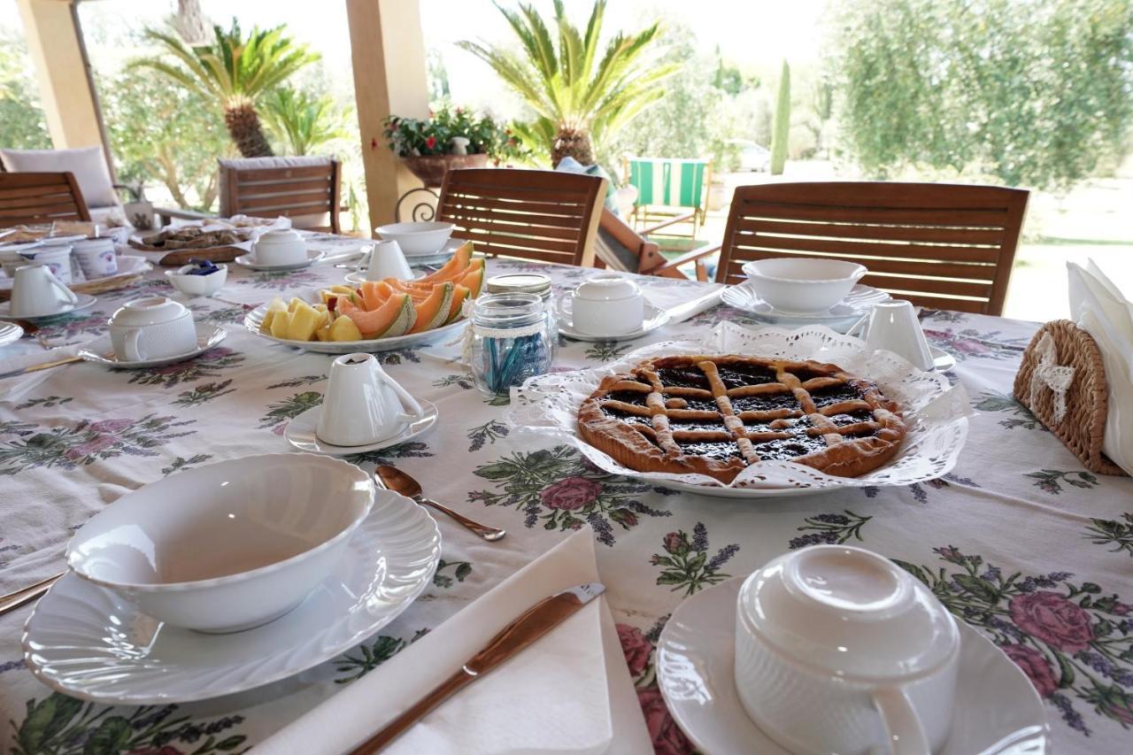 Casa Degli Ulivi Bed & Breakfast Cerveteri Luaran gambar