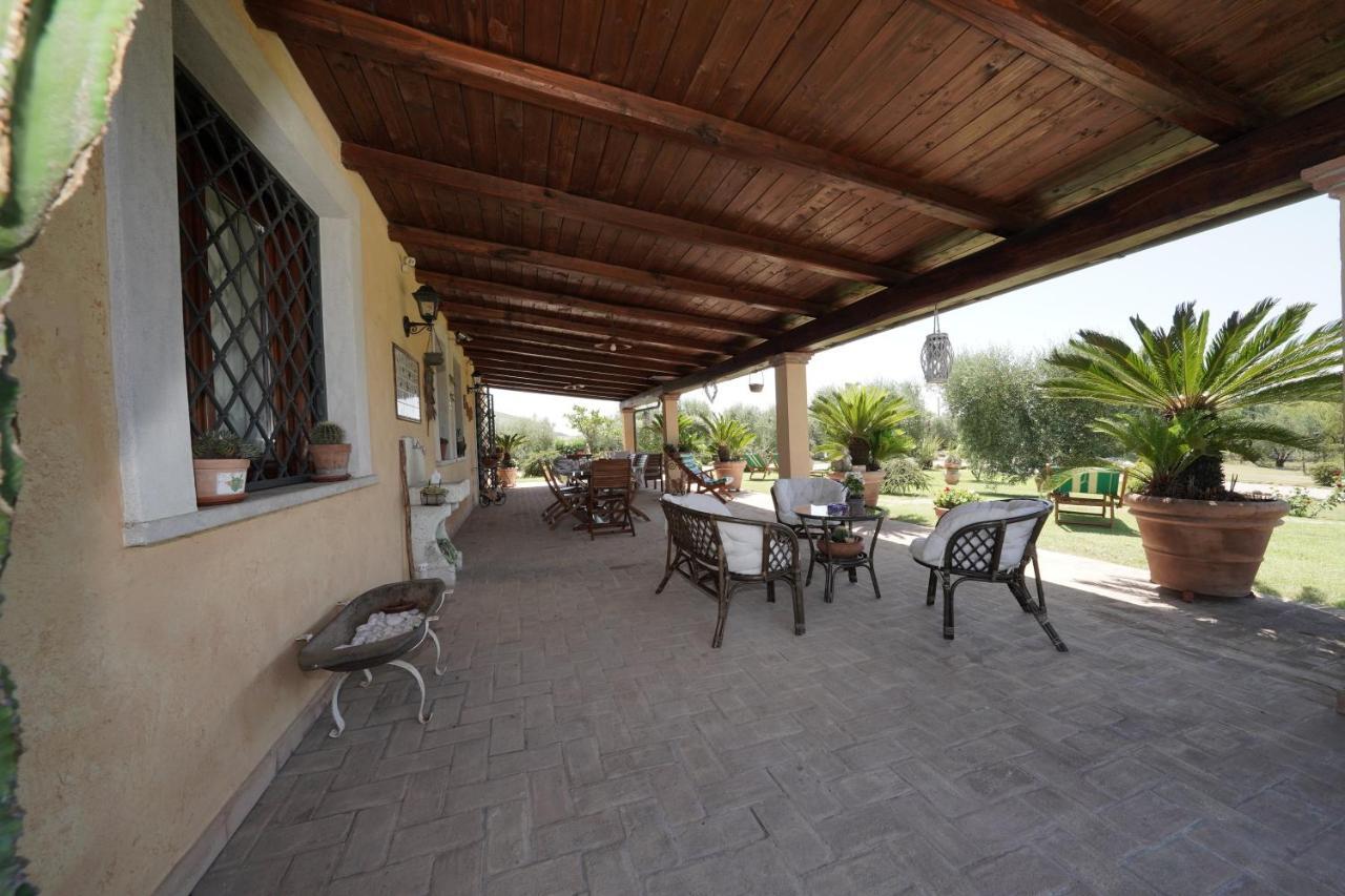 Casa Degli Ulivi Bed & Breakfast Cerveteri Luaran gambar