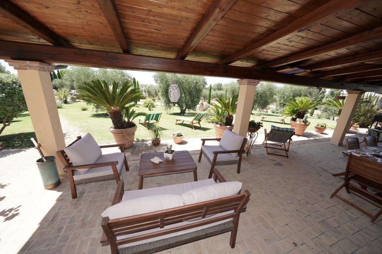 Casa Degli Ulivi Bed & Breakfast Cerveteri Luaran gambar